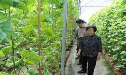 吃瓜真实爆料 黑料热点入口免费入口,黑料入口免费大公开