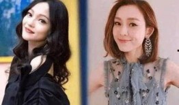 娱乐圈10大脏女明星 社会热点话题事件在哪里找,揭秘社会热点背后的真相