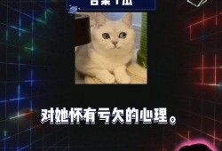 娱乐八卦视频哪里看 娱乐圈吃瓜爆料在线观看,一键在线观看，揭秘幕后真相