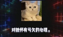 娱乐八卦视频哪里看 娱乐圈吃瓜爆料在线观看,一键在线观看，揭秘幕后真相